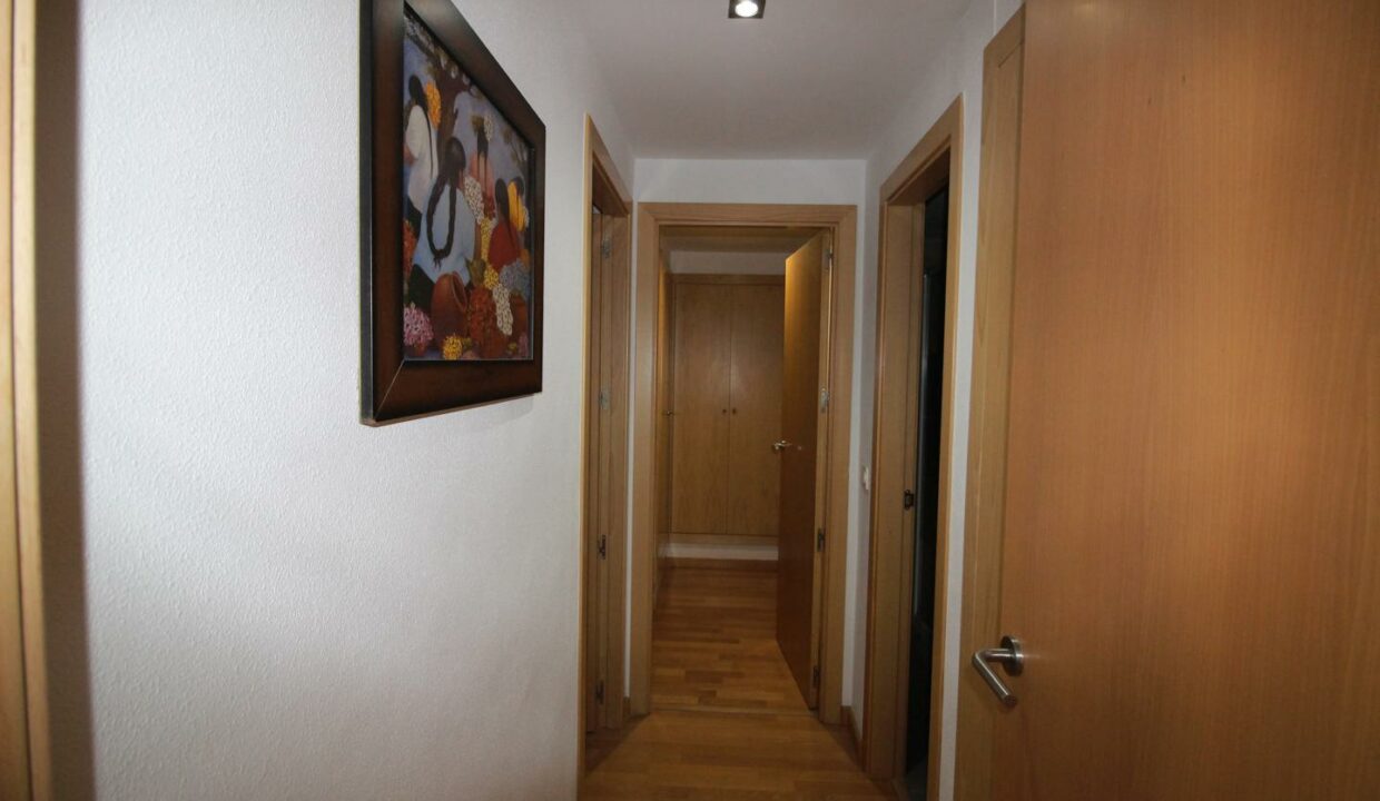 image_9965_4.jpg